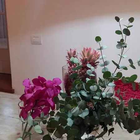 A Casa Di Sophi Maggiore Private Outdoor Sauna Angera