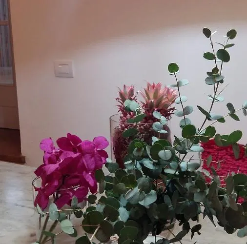 A Casa Di Sophi Maggiore Private Outdoor Sauna Angera